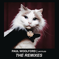 Woolford, Paul - Untitled (Call Out Your Name) (Remixes) (EP)