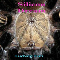 Silicon Dream - Ludwig Fun (Rabbit Mix) 12''