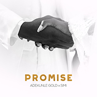 Adekunle Gold - Promise (feat. Simisola Kosoko) (Single)