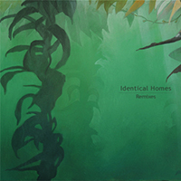 Identical Homes - Remixes (Single)