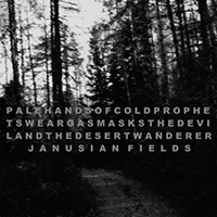 Pale Hands of Cold - Janusian Fields (Single)