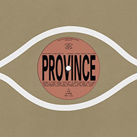 Bartees Strange - Province / Ever New (Single)