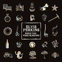 Perkins, Elvis - While You Were Sleeping (Single)