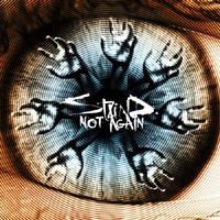 Staind - Not Again (Single)