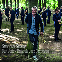 Joris, Bert - Smoth Shake (Feat. Brussels Jazz Orchestra)