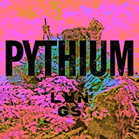 The Lungs (USA) - Pythium (Single)