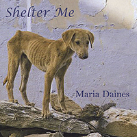 Daines, Maria - Shelter Me