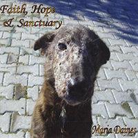 Daines, Maria - Faith Hope & Sanctuary