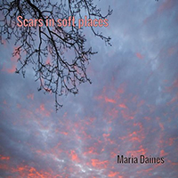 Daines, Maria - Scars In Soft Places
