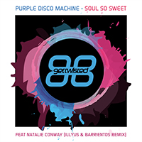 Purple Disco Machine - Soul so Sweet (feat. Natalie Conway) (Single)