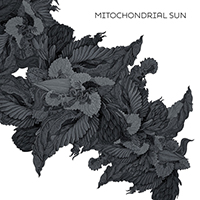 Mitochondrial Sun - Mitochondrial Sun