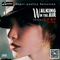 Ting, Yao Si - Walking In The Air