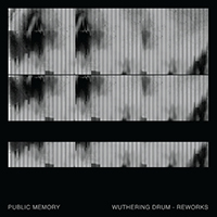 Public Memory - Lunar (The Sight Below Remix) (Single)