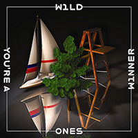 Wild Ones - You're A Winner (Single)