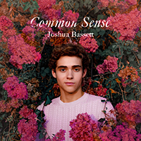 Bassett, Joshua - Common Sense (Single)