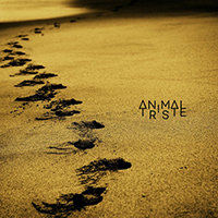 Animal Triste - All About (Single)