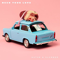 Slvmber - Need Your Love (Single)
