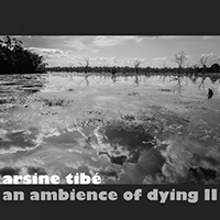Tibe, Arsine - An Ambience Of Dying II (Single)