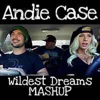 Andie Case - Wildest Dreams / Knockin' On Heaven's Door Mashup (Single)