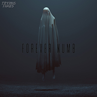 Trying Times - Forever Numb (Single)