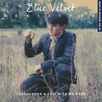 Soundtrack - Movies - Blue Velvet Revisited