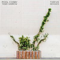 Pool Cosby - Thrive Remixes (with Tiger Darrow) (Single)