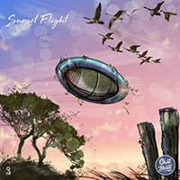 Goosetaf - Sunset Flight (Single)