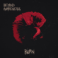 Beyond Awareness - Burn (Single)