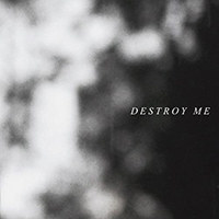 PALESKIN - Destroy Me (Alternative Version)