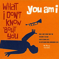You Am I - What I Don't Know 'bout You (Single)