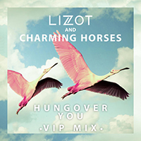Lizot - Hungover You (VIP Mix) (with Charming Horses) (Single)