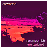 Darwinmcd - November High (Morganik Mix)