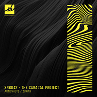 Caracal Project - Artichauts / Zukiny (Single)