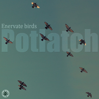 Potlatch (KOR) - Enervate Birds