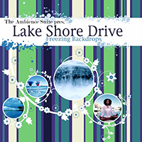 351 Lake Shore Drive - Freezing Backdrops