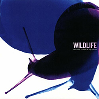 Anthony Phillips - Wildlife (feat. Joji Hirota, 2023 Remaster) (CD 1)