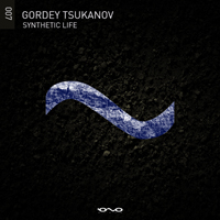 Gordey Tsukanov - Synthetic Life (Single)