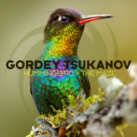 Gordey Tsukanov - Hummingbird + The Maze (Single)