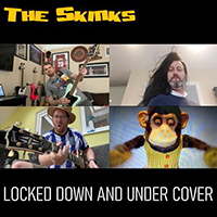 Skinks - Locked Down And Under Cover