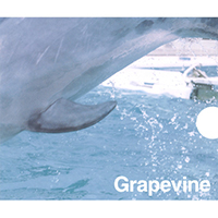 Grapevine - Kazemachi (Single)