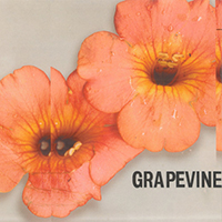 Grapevine - Ai Ni Iku (Single)