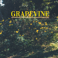 Grapevine - Yubisaki/Come On (Single)