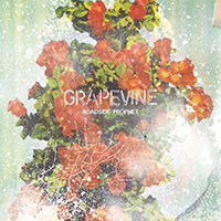 Grapevine - Roadside Prophet