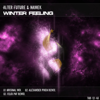Alter Future - Winter Feeling (feat. Namek) (Single)