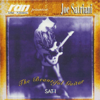 Joe Satriani - The Beatiful Guitar