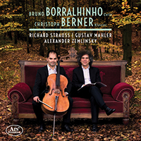 Borralhinho, Bruno - R. Strauss, Mahler & Zemlinsky: Works for Cello & Piano