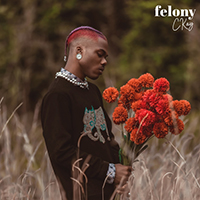 CKay - Felony (Single)