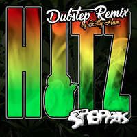 Steppas - Hitz (Dubstep Remix) (Single)