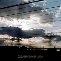 Douglas Firs - Shimmer & Glow