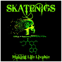 Skatenigs - Making Life Livable (Chemical Imbalance *Wiccid Remix)